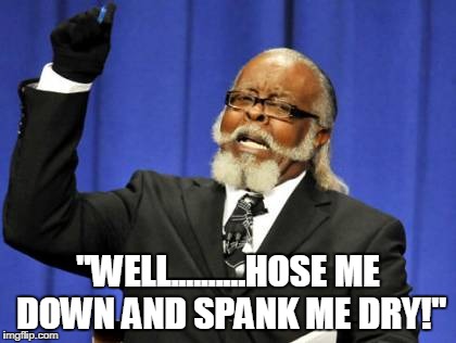 Too Damn High | "WELL..........HOSE ME DOWN AND SPANK ME DRY!" | image tagged in memes,too damn high | made w/ Imgflip meme maker