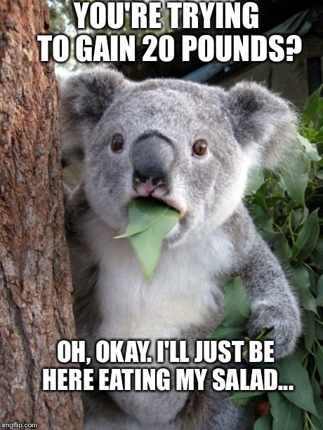 Surprised Koala | YOU'RE TRYING TO GAIN 20 POUNDS? OH, OKAY. I'LL JUST BE HERE EATING MY SALAD... | image tagged in memes,surprised coala | made w/ Imgflip meme maker