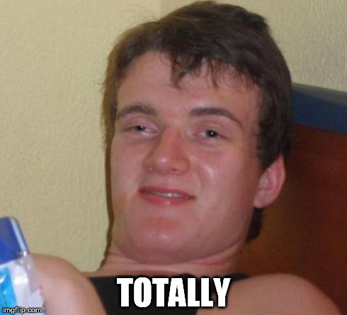 10 Guy Meme | TOTALLY | image tagged in memes,10 guy | made w/ Imgflip meme maker