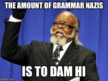 Too Damn High | THE AMOUNT OF GRAMMAR NAZIS IS TO DAM HI | image tagged in memes,too damn high | made w/ Imgflip meme maker