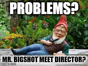 smoking gnome | PROBLEMS? MR. BIGSHOT MEET DIRECTOR? | image tagged in smoking gnome | made w/ Imgflip meme maker