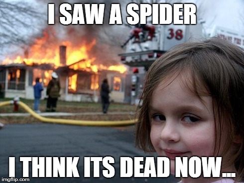 Disaster Girl Meme | I SAW A SPIDER I THINK ITS DEAD NOW... | image tagged in memes,disaster girl | made w/ Imgflip meme maker