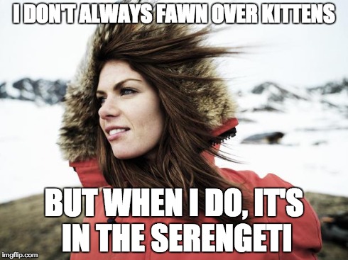 I DON'T ALWAYS FAWN OVER KITTENS BUT WHEN I DO, IT'S IN THE SERENGETI | image tagged in the most interesting woman in the world | made w/ Imgflip meme maker