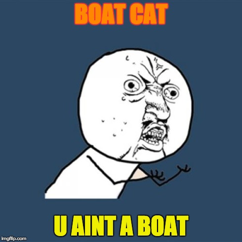 BOAT CAT U AINT A BOAT | image tagged in memes,y u no | made w/ Imgflip meme maker