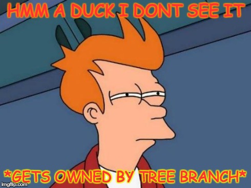 Futurama Fry | HMM A DUCK I DONT SEE IT *GETS OWNED BY TREE BRANCH* | image tagged in memes,futurama fry | made w/ Imgflip meme maker