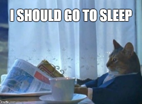 I Should Buy A Boat Cat Meme | I SHOULD GO TO SLEEP | image tagged in memes,i should buy a boat cat | made w/ Imgflip meme maker