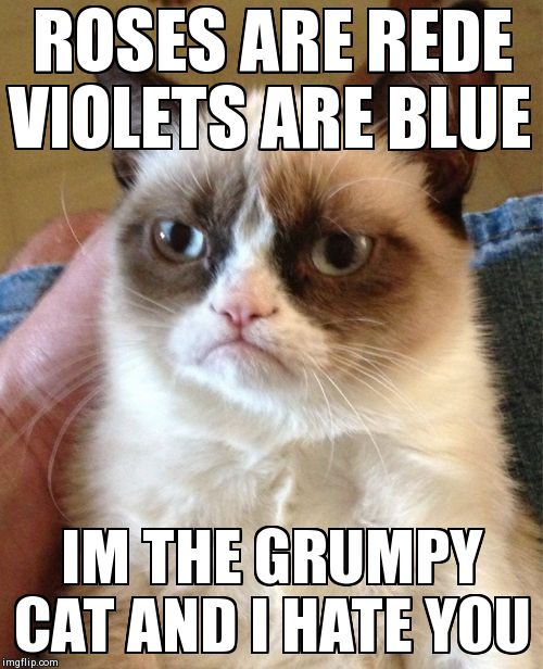 Grumpy Cat Meme | ROSES ARE REDE VIOLETS ARE BLUE IM THE GRUMPY CAT AND I HATE YOU | image tagged in memes,grumpy cat | made w/ Imgflip meme maker