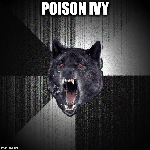 Insanity Wolf Meme | POISON IVY | image tagged in memes,insanity wolf | made w/ Imgflip meme maker