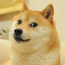 High Quality Square Doge Blank Meme Template
