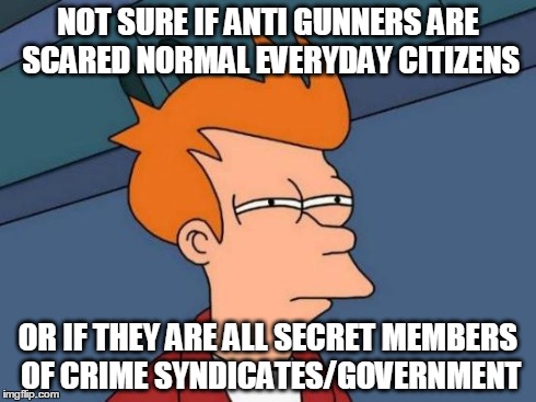 Antigunner Conspiracy | NOT SURE IF ANTI GUNNERS ARE SCARED NORMAL EVERYDAY CITIZENS OR IF THEY ARE ALL SECRET MEMBERS OF CRIME SYNDICATES/GOVERNMENT | image tagged in memes,futurama fry,crime,anti,guns,government | made w/ Imgflip meme maker