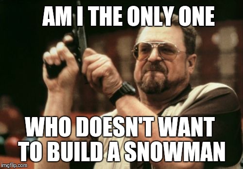 Am I The Only One Around Here Meme | AM I THE ONLY ONE WHO DOESN'T WANT TO BUILD A SNOWMAN | image tagged in memes,am i the only one around here | made w/ Imgflip meme maker