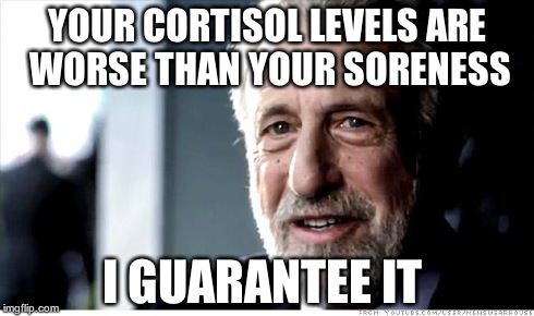 I Guarantee It Meme | YOUR CORTISOL LEVELS ARE WORSE THAN YOUR SORENESS I GUARANTEE IT | image tagged in memes,i guarantee it | made w/ Imgflip meme maker