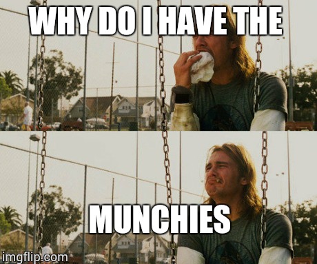 First World Stoner Problems | WHY DO I HAVE THE MUNCHIES | image tagged in memes,first world stoner problems | made w/ Imgflip meme maker