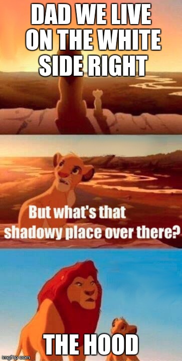Simba Shadowy Place Meme | DAD WE LIVE ON THE WHITE SIDE RIGHT THE HOOD | image tagged in memes,simba shadowy place | made w/ Imgflip meme maker
