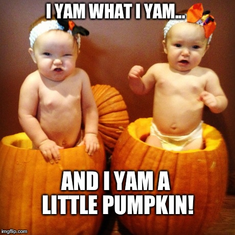 Twins in pumpkins | I YAM WHAT I YAM... AND I YAM A LITTLE PUMPKIN! | image tagged in twins | made w/ Imgflip meme maker