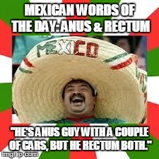 Mexican Fiesta | MEXICAN WORDS OF THE DAY: ANUS & RECTUM "HE'S ANUS GUY WITH A COUPLE OF CARS, BUT HE RECTUM BOTH." | image tagged in mexican fiesta | made w/ Imgflip meme maker