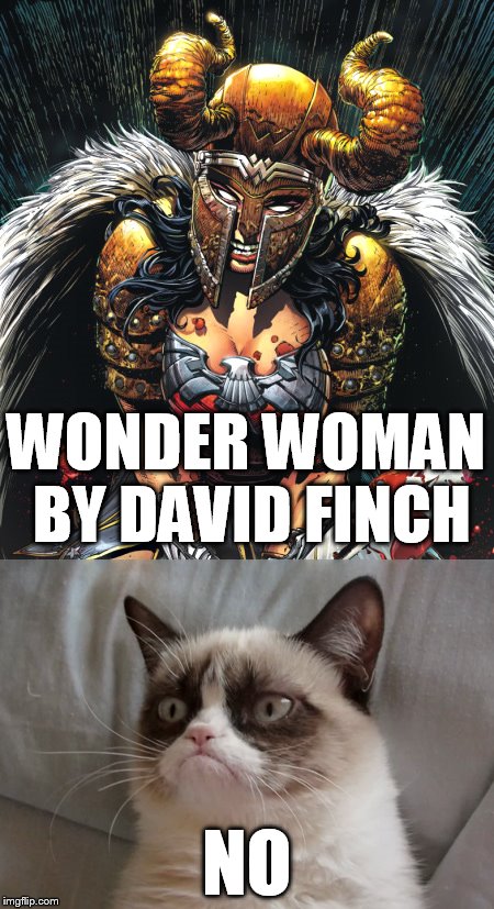 Grumpy Cat says "No" to David Finch's Wonder Woman | WONDER WOMAN BY DAVID FINCH NO | image tagged in grumpy cat,wonder woman | made w/ Imgflip meme maker
