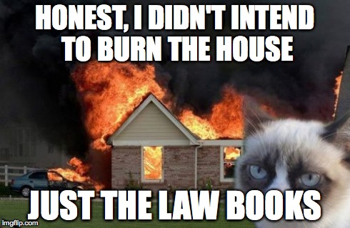 Burn Kitty Meme | HONEST, I DIDN'T INTEND TO BURN THE HOUSE JUST THE LAW BOOKS | image tagged in memes,burn kitty | made w/ Imgflip meme maker