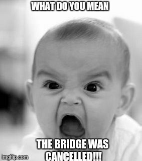 Angry Baby Meme | WHAT DO YOU MEAN THE BRIDGE WAS CANCELLED!!! | image tagged in memes,angry baby | made w/ Imgflip meme maker