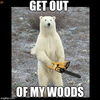 Chainsaw Bear | GET OUT OF MY WOODS | image tagged in memes,chainsaw bear,scumbag | made w/ Imgflip meme maker