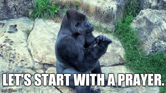 Praying Gorilla | LET'S START WITH A PRAYER. | image tagged in praying gorilla | made w/ Imgflip meme maker