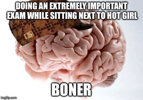 Just when things couldn't get more hectic 
 | DOING AN EXTREMELY IMPORTANT EXAM WHILE SITTING NEXT TO HOT GIRL BONER | image tagged in memes,scumbag brain | made w/ Imgflip meme maker