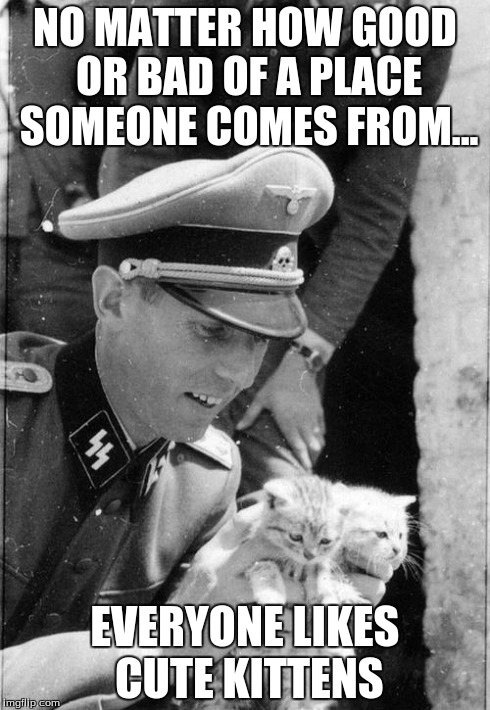 Nazi Kittens | NO MATTER HOW GOOD OR BAD OF A PLACE SOMEONE COMES FROM... EVERYONE LIKES CUTE KITTENS | image tagged in nazi kittens | made w/ Imgflip meme maker