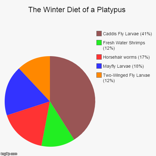 The Winter Diet of a Platypus - Imgflip