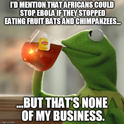 A Little Common Sense | I'D MENTION THAT AFRICANS COULD STOP EBOLA IF THEY STOPPED EATING FRUIT BATS AND CHIMPANZEES... ...BUT THAT'S NONE OF MY BUSINESS. | image tagged in memes,but thats none of my business,kermit the frog | made w/ Imgflip meme maker