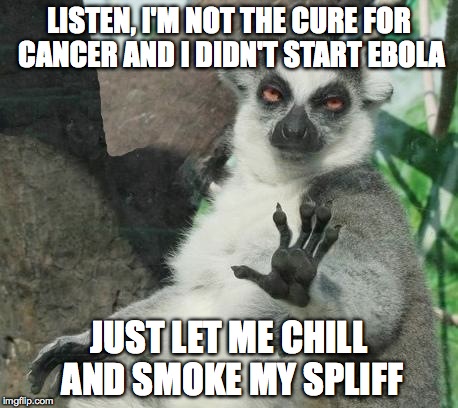 Stoner Lemur | LISTEN, I'M NOT THE CURE FOR CANCER AND I DIDN'T START EBOLA JUST LET ME CHILL AND SMOKE MY SPLIFF | image tagged in memes,stoner lemur | made w/ Imgflip meme maker