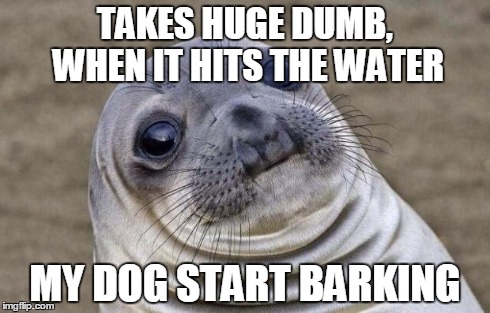 Awkward Moment Sealion Meme | TAKES HUGE DUMB, WHEN IT HITS THE WATER MY DOG START BARKING | image tagged in memes,awkward moment sealion | made w/ Imgflip meme maker