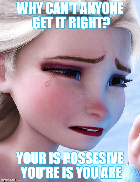 Elsa crying over ..... | WHY CAN'T ANYONE GET IT RIGHT? YOUR IS POSSESIVE YOU'RE IS YOU ARE | image tagged in elsa crying over,elsa | made w/ Imgflip meme maker