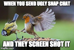 WHEN YOU SEND UGLY SNAP CHAT AND THEY SCREEN SHOT IT | made w/ Imgflip meme maker
