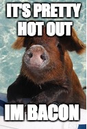 IT'S PRETTY HOT OUT IM BACON | made w/ Imgflip meme maker