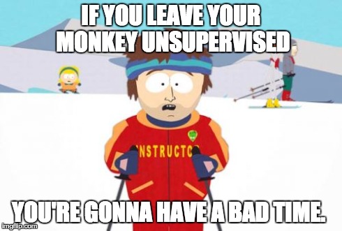Super Cool Ski Instructor Meme | IF YOU LEAVE YOUR MONKEY UNSUPERVISED YOU'RE GONNA HAVE A BAD TIME. | image tagged in memes,super cool ski instructor | made w/ Imgflip meme maker