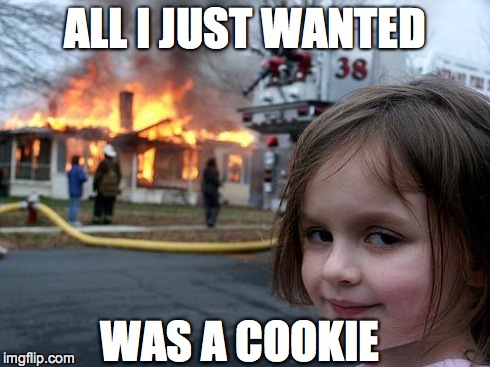 Disaster Girl | ALL I JUST WANTED WAS A COOKIE | image tagged in memes,disaster girl | made w/ Imgflip meme maker