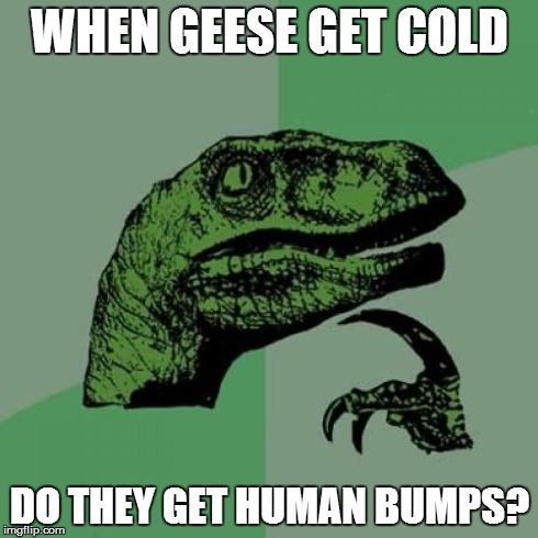 Philosoraptor | WHEN GEESE GET COLD DO THEY GET HUMAN BUMPS? | image tagged in memes,philosoraptor | made w/ Imgflip meme maker