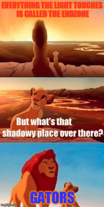 time to pick on the Gaytors | EVERYTHING THE LIGHT TOUCHES IS CALLED THE ENDZONE GATORS | image tagged in memes,simba shadowy place | made w/ Imgflip meme maker