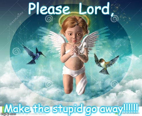 Cherub | Please  Lord, Make the stupid go away!!!!!! | image tagged in stupid | made w/ Imgflip meme maker