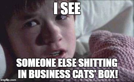 I See Dead People | I SEE SOMEONE ELSE SHITTING IN BUSINESS CATS' BOX! | image tagged in memes,i see dead people | made w/ Imgflip meme maker