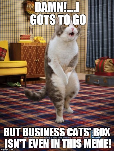 Gotta Go Cat Meme | DAMN!....I GOTS TO GO BUT BUSINESS CATS' BOX ISN'T EVEN IN THIS MEME! | image tagged in memes,gotta go cat | made w/ Imgflip meme maker