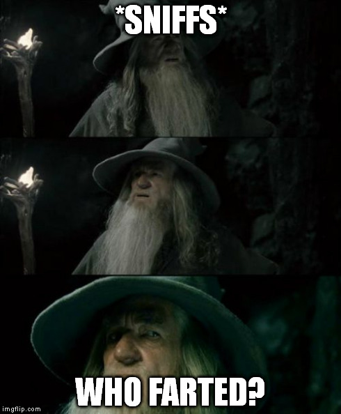 Confused Gandalf | *SNIFFS* WHO FARTED? | image tagged in memes,confused gandalf | made w/ Imgflip meme maker