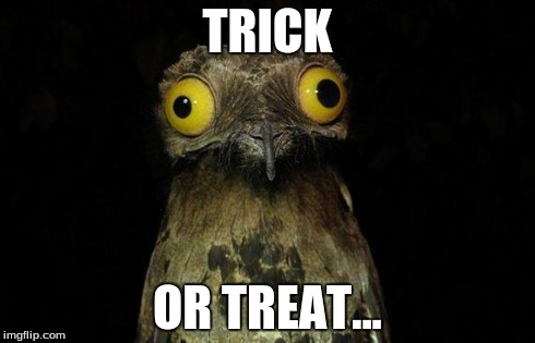 Weird Stuff I Do Potoo Meme | TRICK OR TREAT... | image tagged in memes,weird stuff i do potoo | made w/ Imgflip meme maker