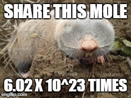 Mole day | SHARE THIS MOLE 6.02 X 10^23 TIMES | image tagged in mole,science,sharethis | made w/ Imgflip meme maker