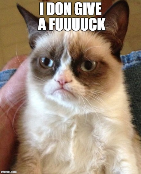 Grumpy Cat | I DON GIVE A FUUUUCK | image tagged in memes,grumpy cat | made w/ Imgflip meme maker