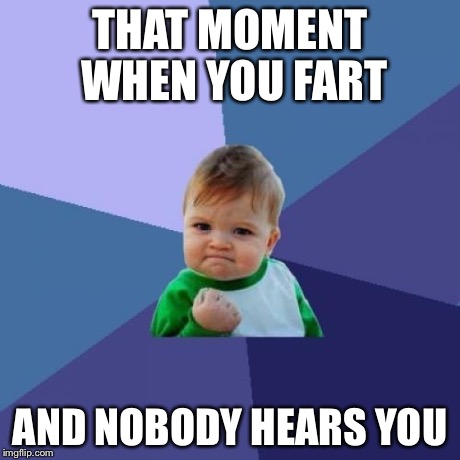 Success Kid | THAT MOMENT WHEN YOU FART AND NOBODY HEARS YOU | image tagged in memes,success kid | made w/ Imgflip meme maker