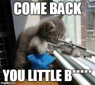 CatSniper | COME BACK YOU LITTLE B***** | image tagged in catsniper | made w/ Imgflip meme maker