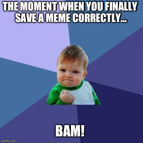 Success Kid | THE MOMENT WHEN YOU FINALLY SAVE A MEME CORRECTLY... BAM! | image tagged in memes,success kid | made w/ Imgflip meme maker