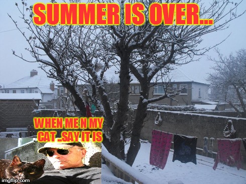 summertime | SUMMER IS OVER... WHEN ME N MY CAT ..SAY IT IS | image tagged in funny | made w/ Imgflip meme maker