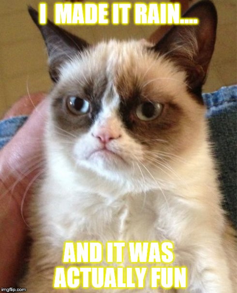 Grumpy Cat | I  MADE IT RAIN.... AND IT WAS ACTUALLY FUN | image tagged in memes,grumpy cat | made w/ Imgflip meme maker